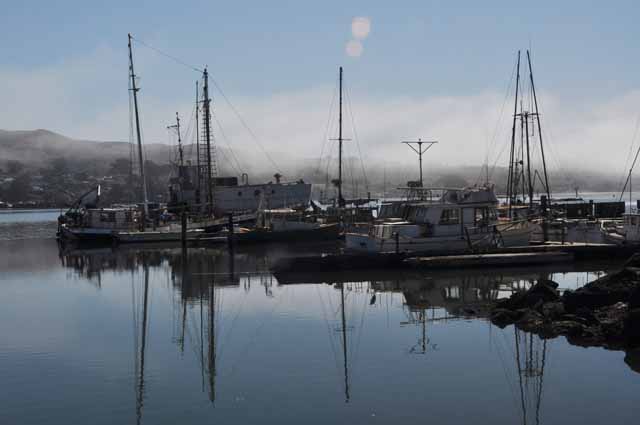 Bodega Bay marina